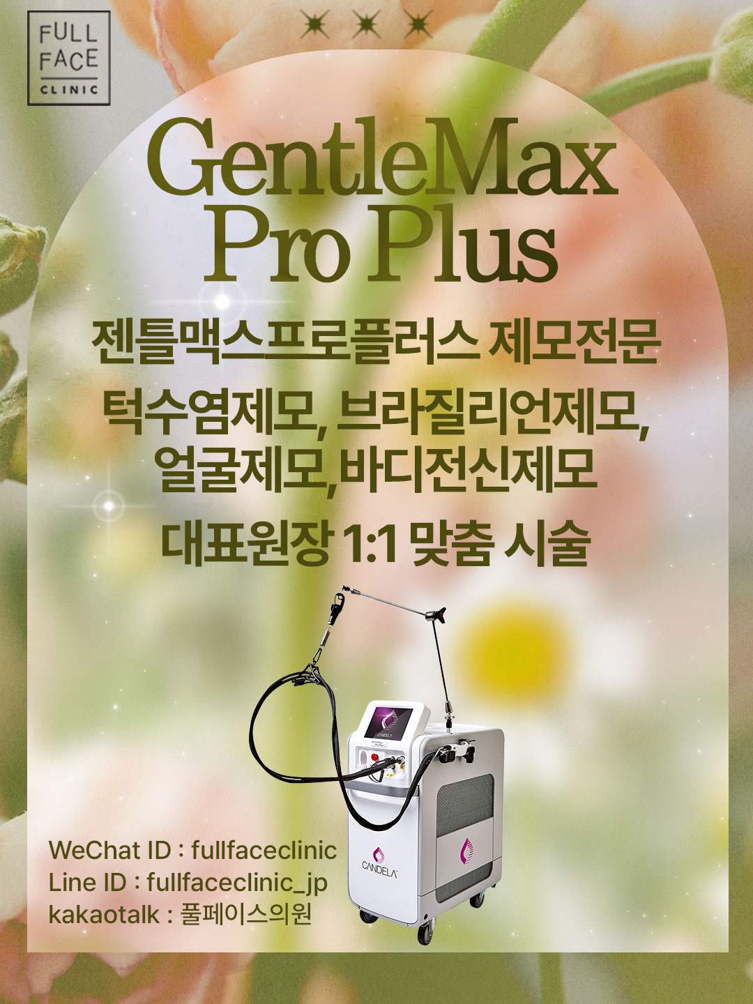 팝업
