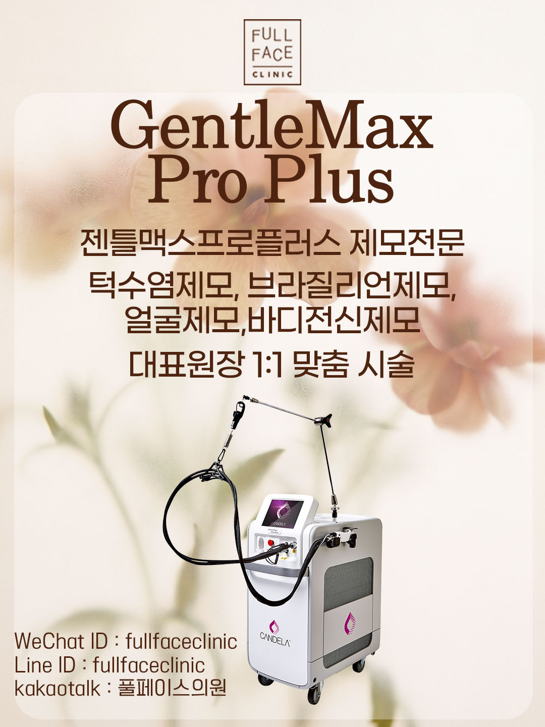 팝업
